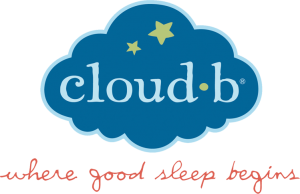cloud b logo