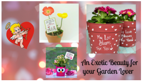 Valentine's Day Gifts: Perfect Token of Love at Giftblooms