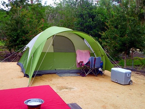 6 Tips To Keep Pests and Snakes Away While Outdoor Camping - Mom Blog ...