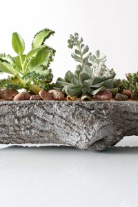 TreeTrough4(WEB)_680x1020%20(huge%20product)