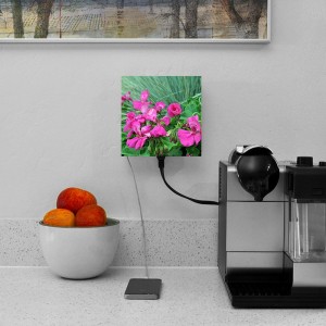 living-plug-faceplate-flowers