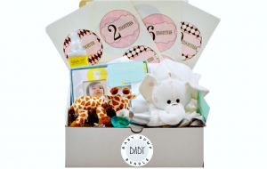 baby bump bundle 2