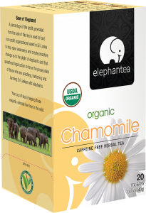 chamomile