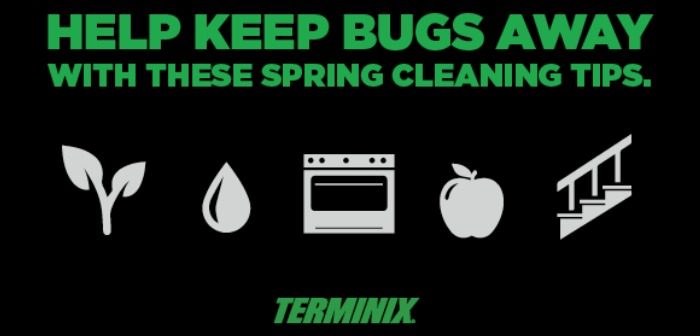 Help Keep Bugs Away With These Spring Cleaning Tips