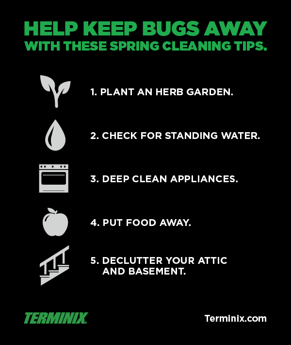 Help Keep Bugs Away With These Spring Cleaning Tips