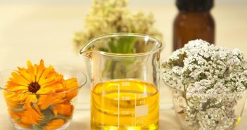 Exploring the Health Benefits of Top Herbal Oils