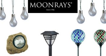 MoonRays Lights Up My Life and My Landscape!