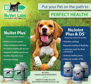 Take Care of Your Dog's Immune System and Joint Health with NuVet Labs