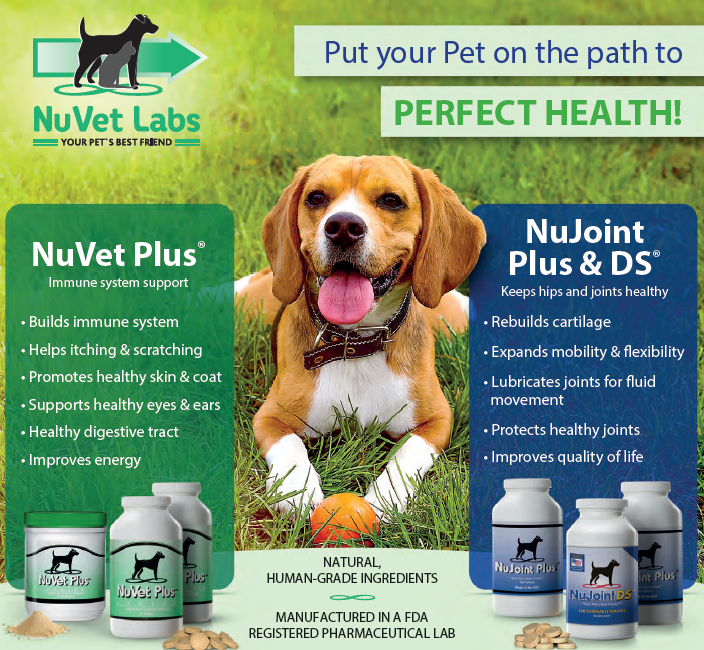 Take Care of Your Dog's Immune System and Joint Health with NuVet Labs