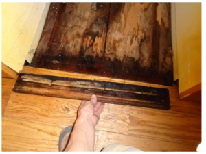 How Do I Know If I Have Mold in My Home