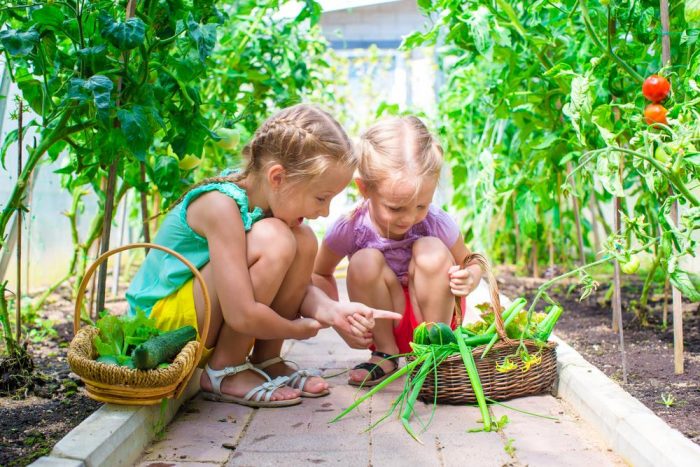 Three Easy Gardening Projects For Your Kids