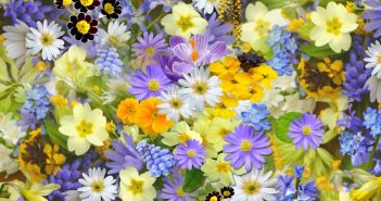 The Surprising Physiological Benefits of Flowers