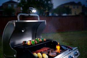 Zeust Sirius 2.0- The Grill Light