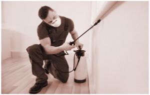 How To Get Serious About Commercial Or Residential Pest Control