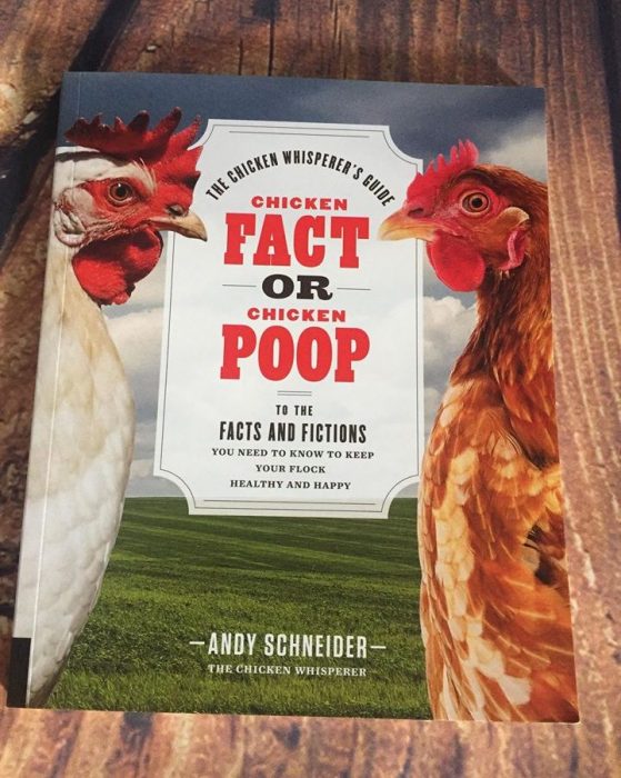 Calling All Chicken Enthusiasts These Books are For You