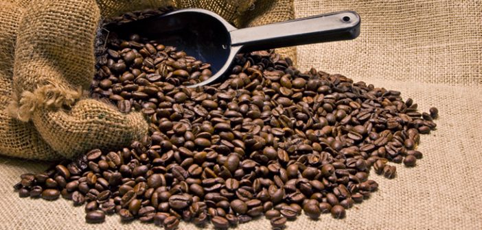 3 Tips to Finding the Best Coffee Bean Roast