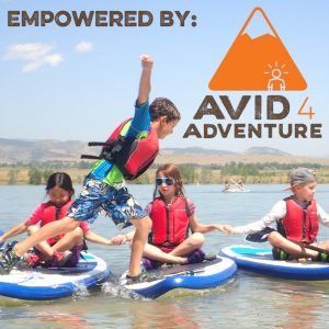 Avid 4 Adventure