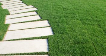 5 Tips To Keeping Your Lawn Green