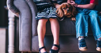 How to Protect Your Sofa from Energetic Kids