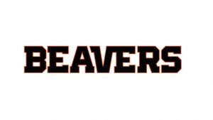 Beaver