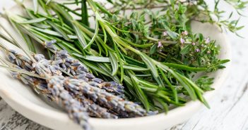 The Top 5 Benefits to Using Herbs