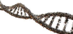 Things To Think About Before Taking a DNA Test
