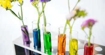 ChemicalSafetyFacts.org: Tells Us Exactly What Chemicals Are In Our Everyday Products We Use