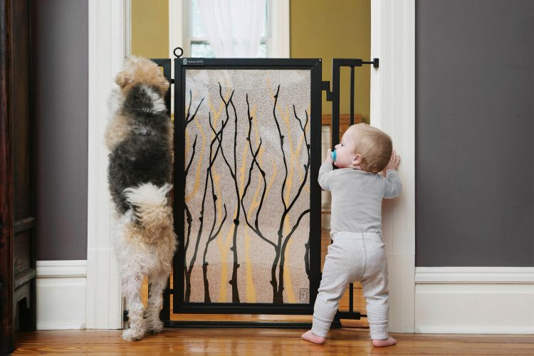 baby and dog gates