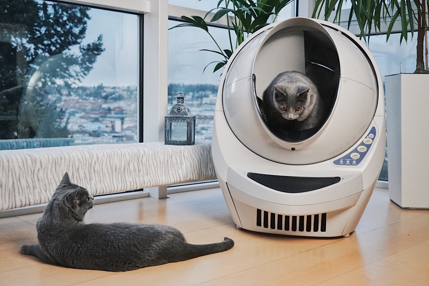 Litter robot smells outlet bad