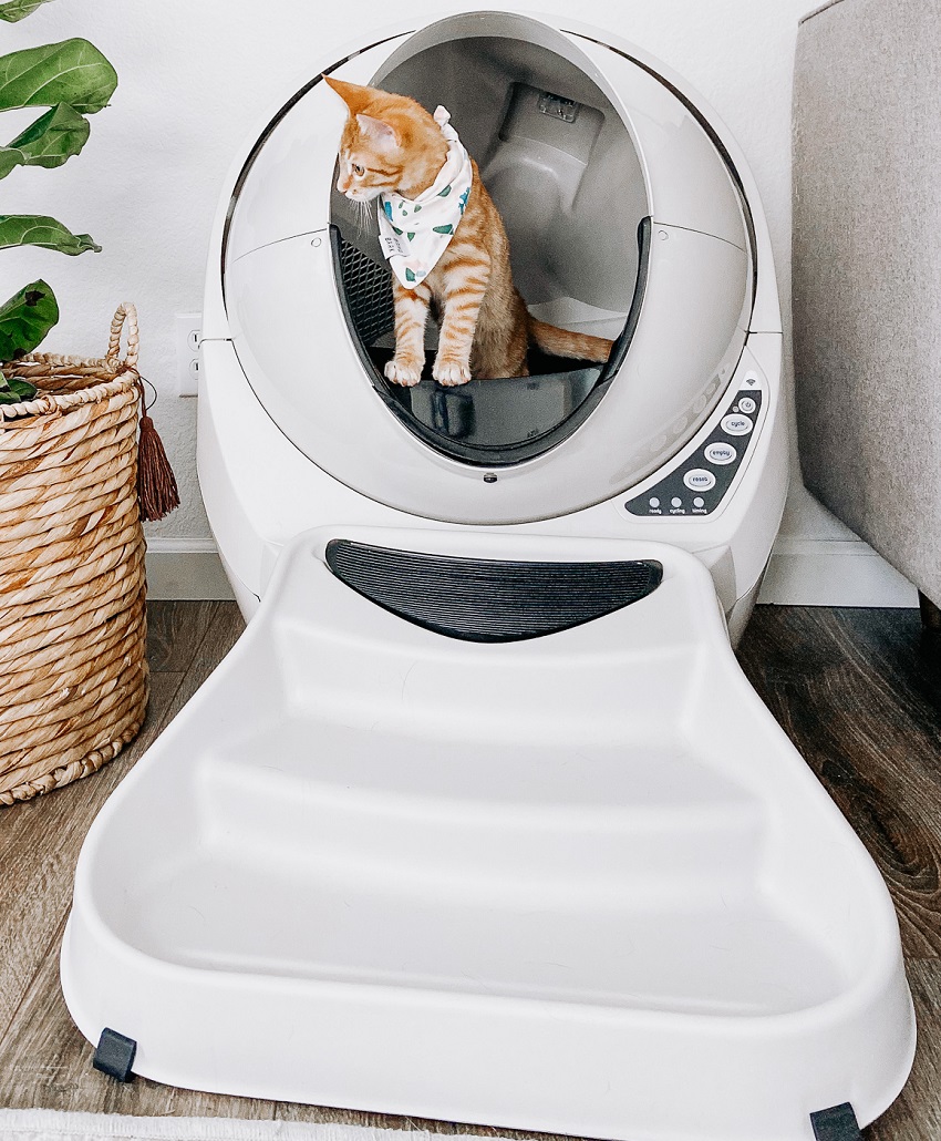 Litter robot hotsell still smells