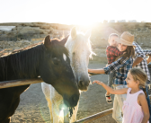 Farm Holidays: A Family Adventure Perfect for Moms and Kids