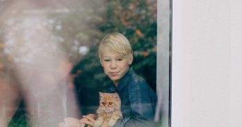 Why Smart Moms Are Upgrading Their Windows First