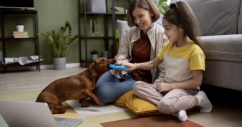 Training Your Family Dog: Easy Tips for Busy Moms
